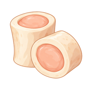 Moelle osseuse de bœuf